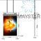 डबल साइज़ डिजिटल विज्ञापन स्क्रीन 55 इंच OLED वॉलपेपर हैंगिंग रिटेल डिस्प्ले आपूर्तिकर्ता